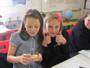 We tasted different cakes before planning our writing.