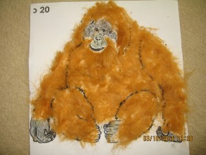 orangutan 002