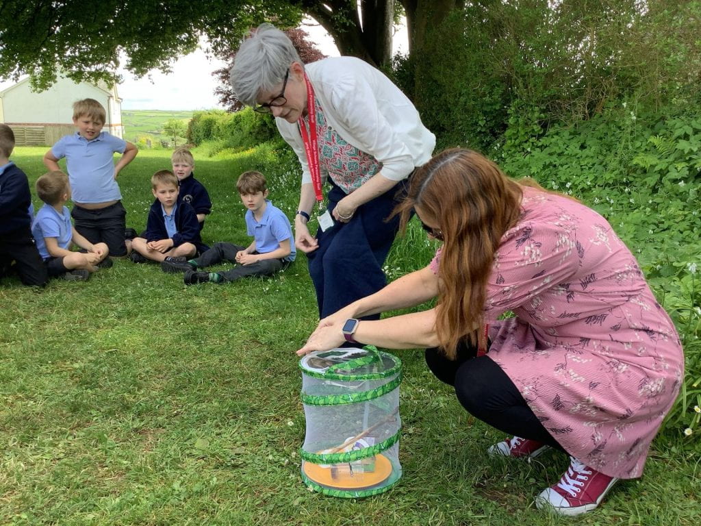 Orleigh released their butterflies – Village Schools Partnership Blog