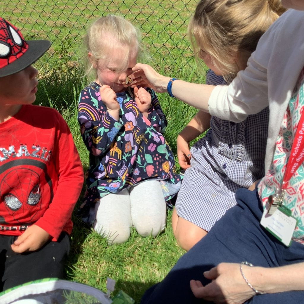 Orleigh released their butterflies – Village Schools Partnership Blog